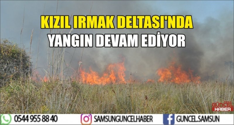 KIZIL IRMAK DELTASI'NDA YANGIN DEVAM EDİYOR