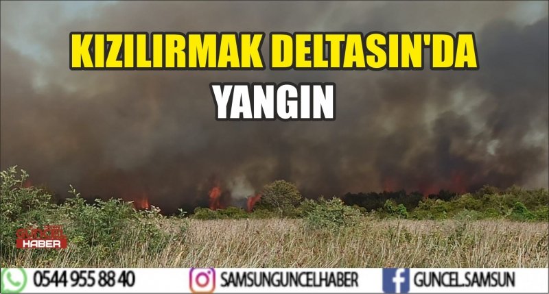 KIZILIRMAK DELTASIN'DA YANGIN