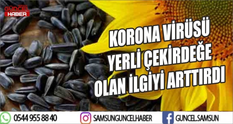 KORONA VİRÜSÜ YERLİ ÇEKİRDEĞE OLAN İLGİYİ ARTTIRDI
