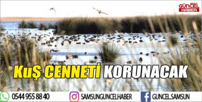 KUŞ CENNETİ KORUNACAK