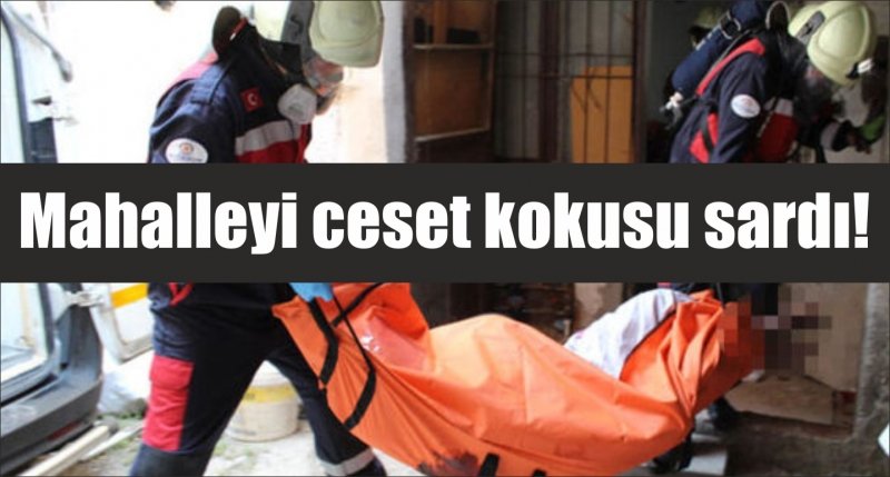 Mahalleyi ceset kokusu sardı!
