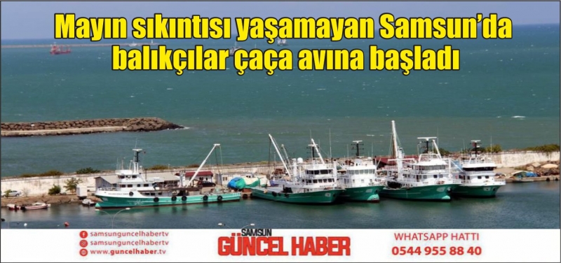 Mayın sıkıntısı yaşamayan Samsun’da balıkçılar çaça avına başladı
