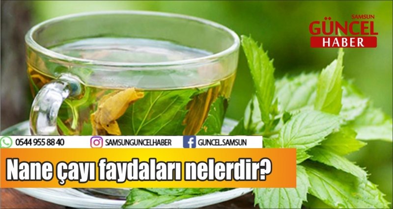 Nane çayı faydaları nelerdir?