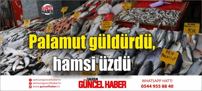 Palamut güldürdü, hamsi üzdü