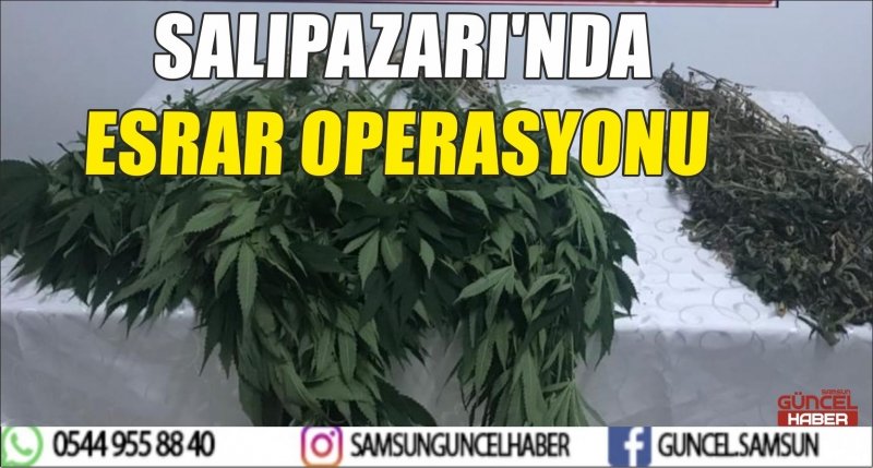 SALIPAZARI'NDA ESRAR OPERASYONU