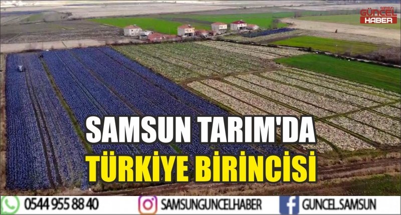 SAMSUN TARIM'DA TÜRKİYE BİRİNCİSİ
