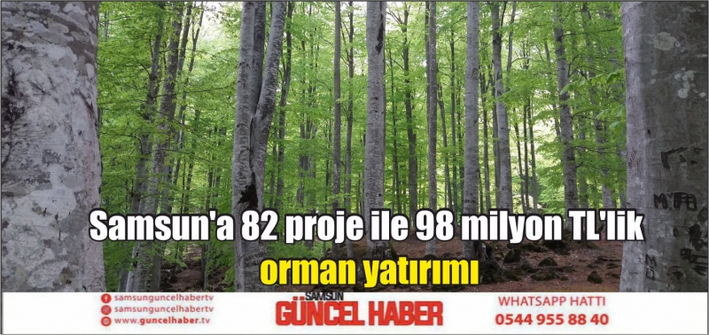  Samsun'a 82 proje ile 98 milyon TL'lik orman yatırımı
