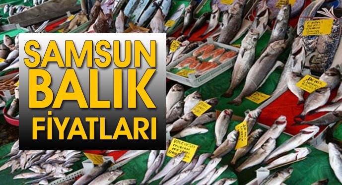 Samsun'da balık fiyatları
