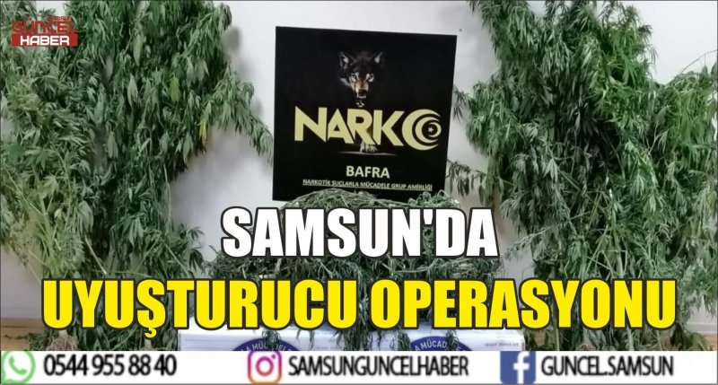 SAMSUN'DA UYUŞTURUCU OPERASYONU