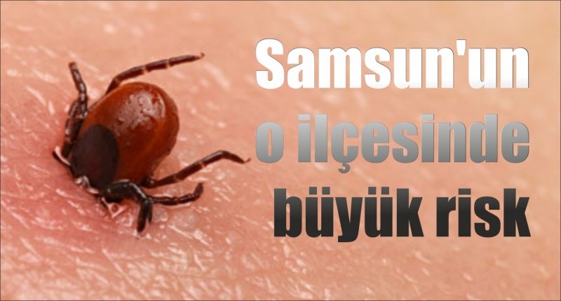 Samsun'un o ilçesinde büyük risk