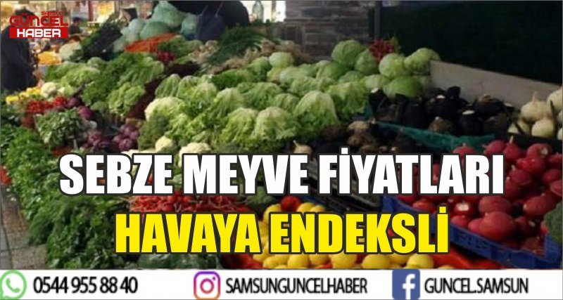 SEBZE MEYVE FİYATLARI HAVAYA ENDEKSLİ