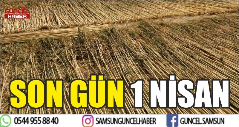 SON GÜN 1 NİSAN
