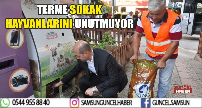 TERME SOKAK HAYVANLARINI UNUTMUYOR