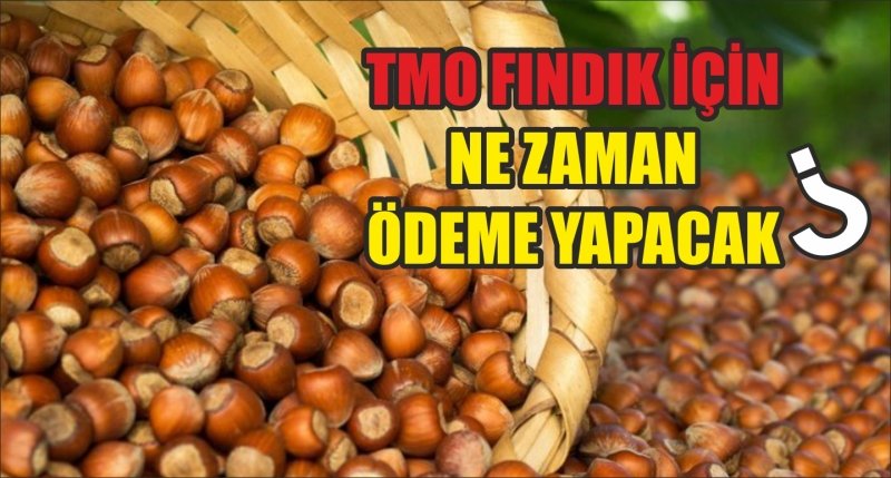 TMO FINDIK İÇİN NE ZAMAN ÖDEME YAPACAK?