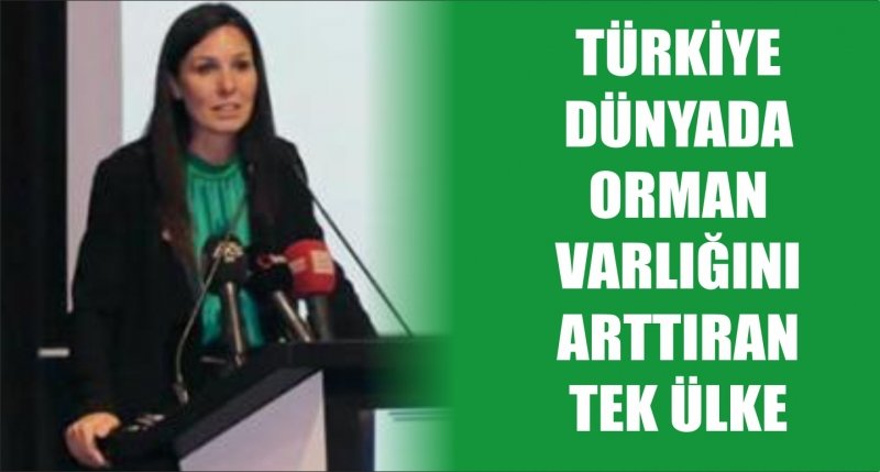 TÜRKİYE DÜNYADA ORMAN VARLIĞINI ARTTIRAN TEK ÜLKE