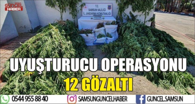 UYUŞTURUCU OPERASYONU 12 GÖZALTI