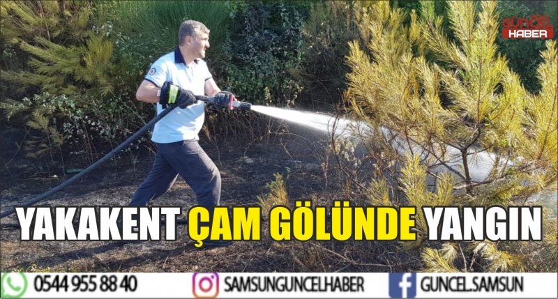 YAKAKENT ÇAM GÖLÜNDE YANGIN