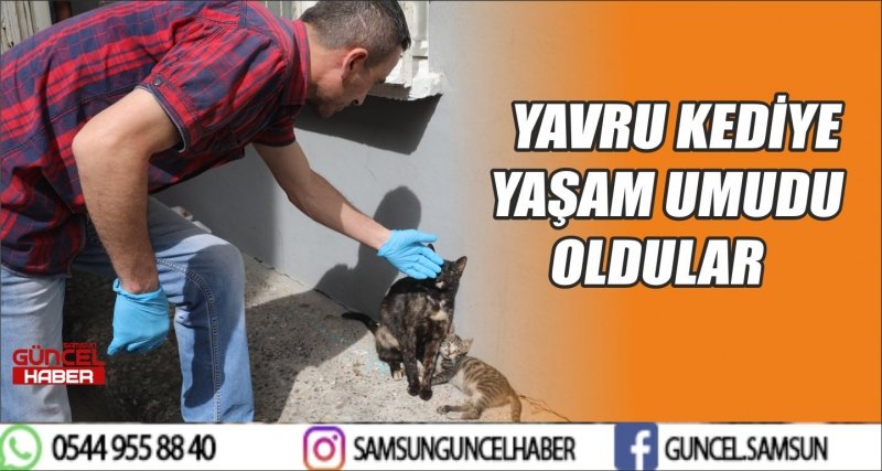 YAVRU KEDİYE YAŞAM UMUDU OLDULAR