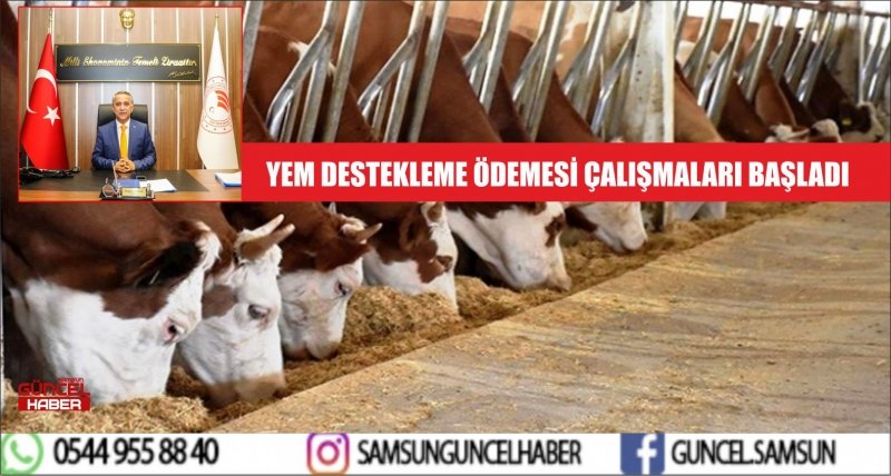 YEM DESTEKLEME ÖDEMESİ ÇALIŞMALARI BAŞLADI 