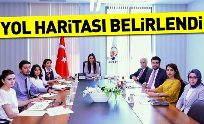 Yol haritası belirlendi 