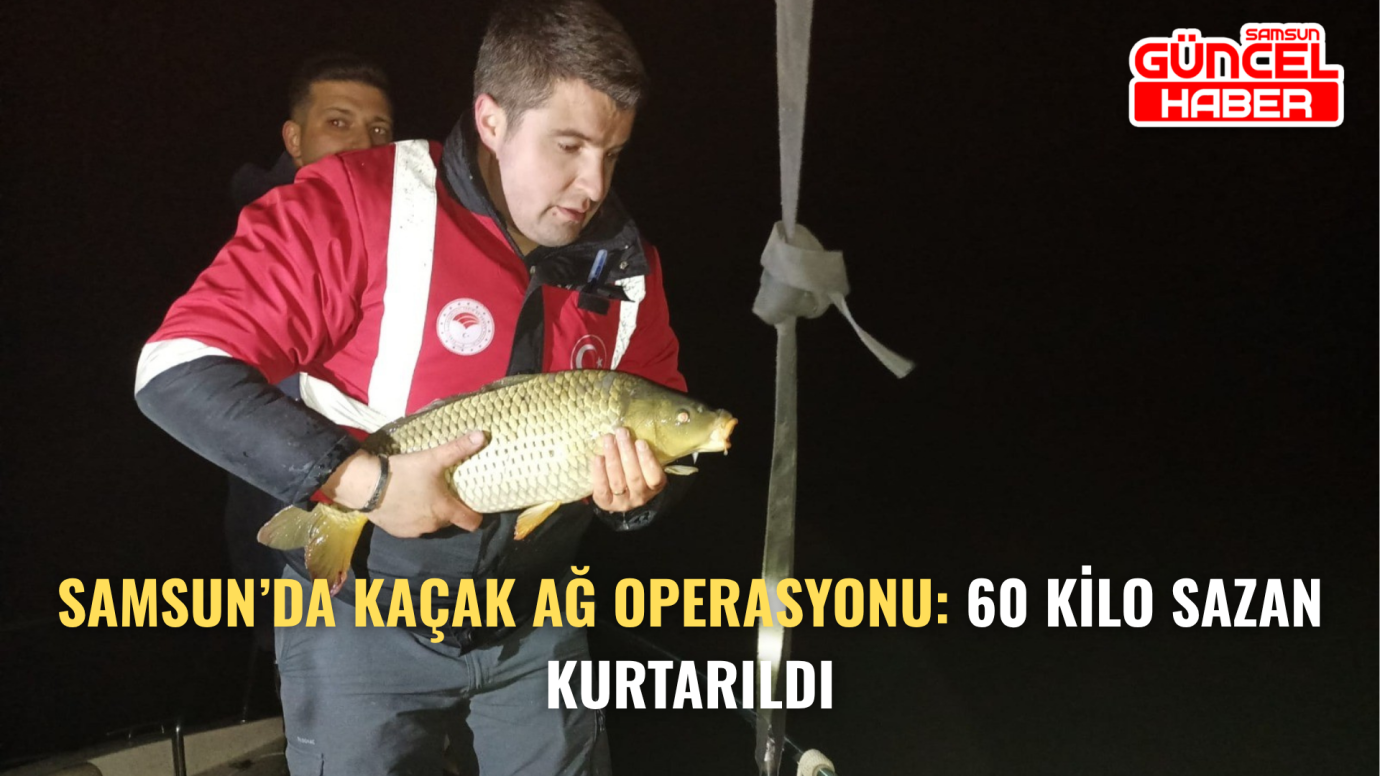 Samsun’da kaçak ağ operasyonu: 60 kilo sazan kurtarıldı