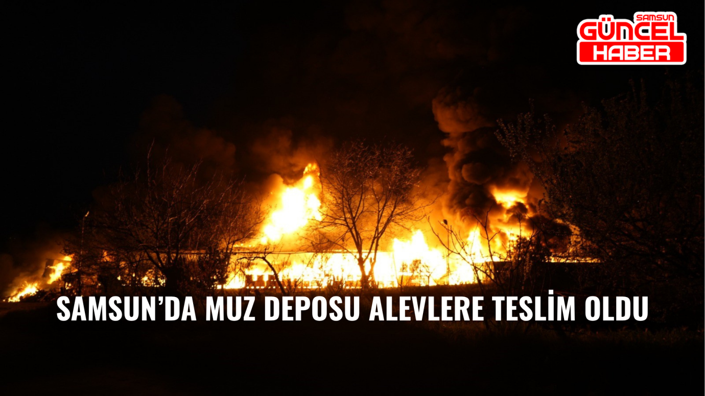 Samsun’da Muz Deposu Alevlere Teslim Oldu