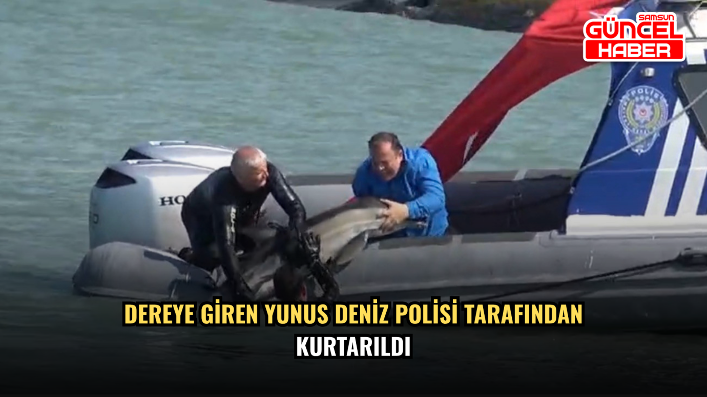 Dereye Giren Yunus Deniz Polisi Tarafından Kurtarıldı