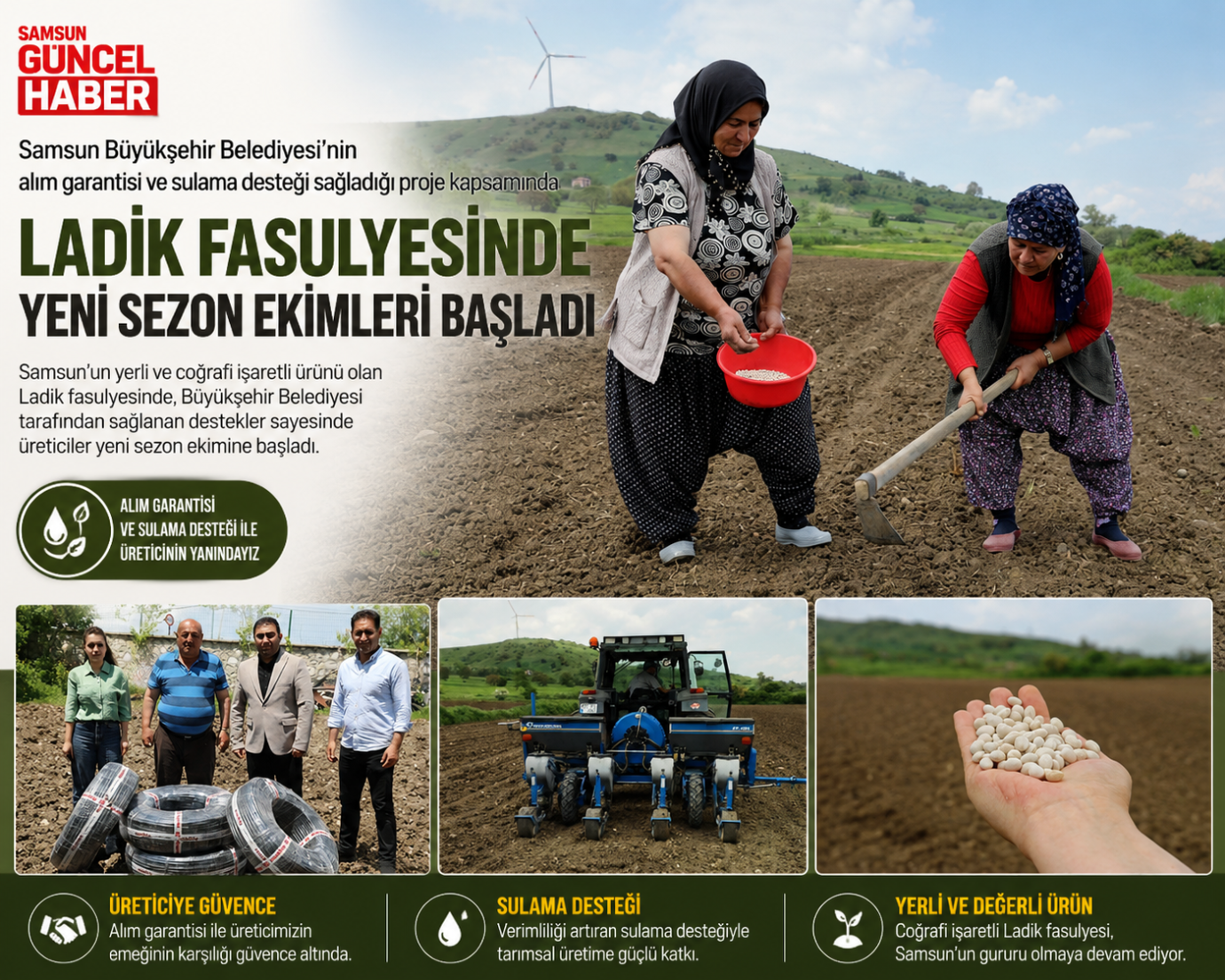 Ladik fasulyesi yeniden toprakla buluştu