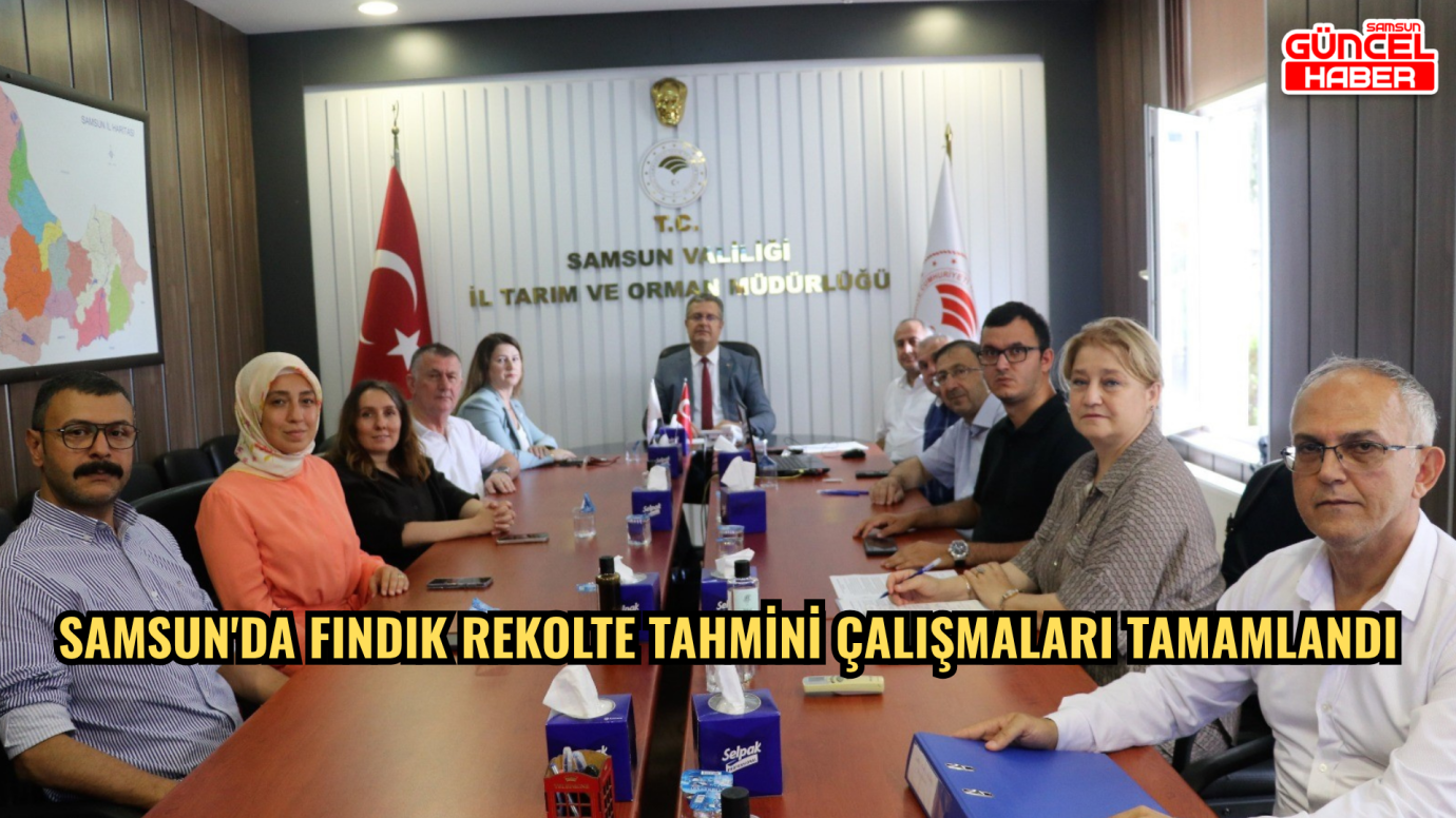 Samsun'da fındık rekolte tahmini çalışmaları tamamlandı