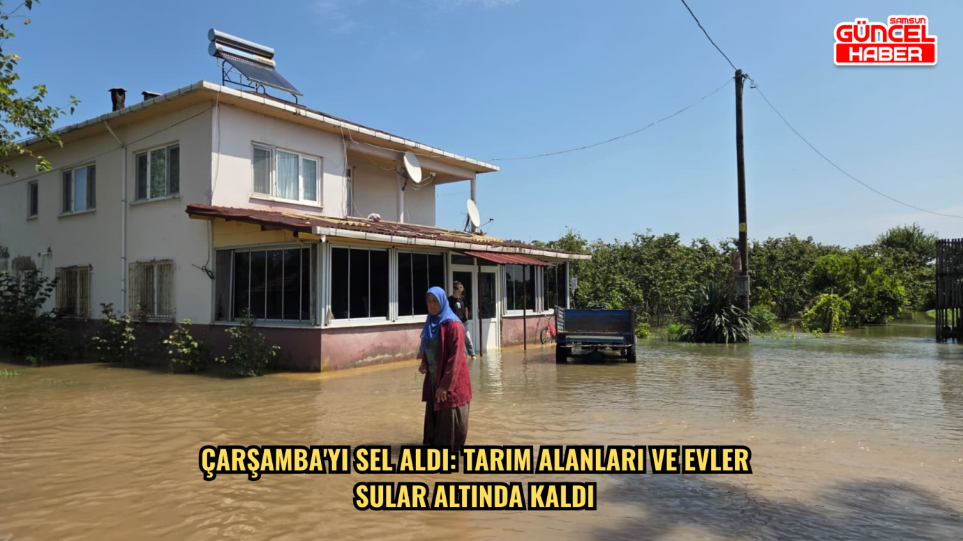 Çarşamba'yı sel aldı: Tarım alanları ve evler sular altında kaldı