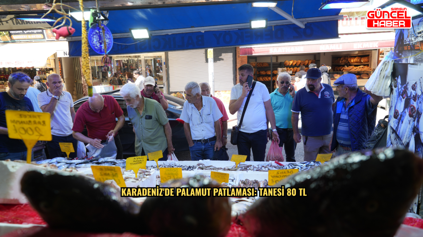 Karadeniz'de palamut patlaması: Tanesi 80 TL