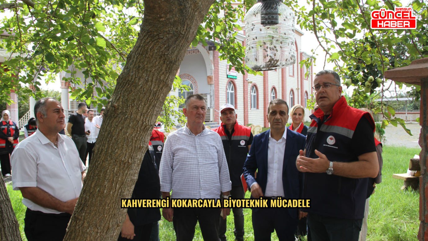 Kahverengi kokarcayla biyoteknik mücadele