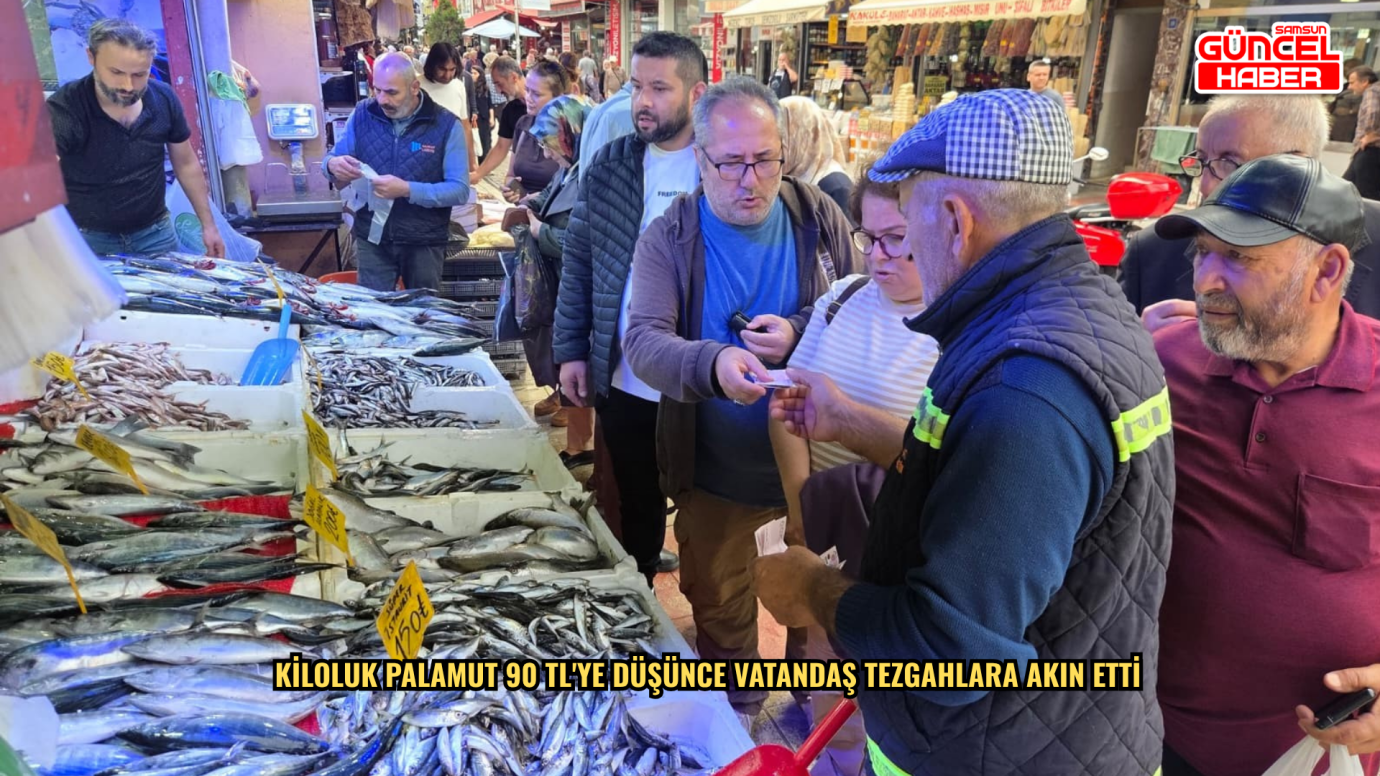 Kiloluk palamut 90 TL'ye düşünce vatandaş tezgahlara akın etti