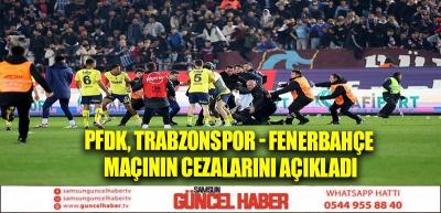 PFDK, Trabzonspor - Fenerbahçe maçının cezalarını açıkladı
