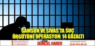 Samsun ve Sivas'ta suç örgütüne operasyon: 14 gözaltı