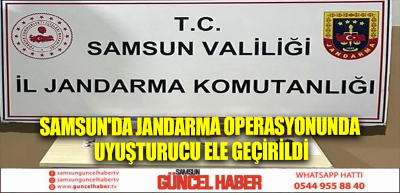 Samsun'da Jandarma Operasyonunda Uyuşturucu Ele Geçirildi