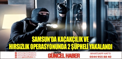 Samsun'da kaçakçılık ve hırsızlık operasyonunda 2 şüpheli yakalandı