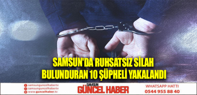 Samsun'da ruhsatsız silah bulunduran 10 şüpheli yakalandı