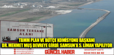 TBMM Plan ve Bütçe Komisyonu Başkanı Dr. Mehmet Muş devreye girdi: Samsun'a 5. liman yapılıyor