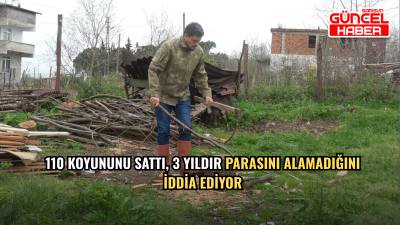 110 Koyununu Sattı, 3 Yıldır Parasını Alamadığını İddia Ediyor