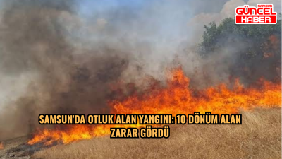Samsun'da otluk alan yangını: 10 dönüm alan zarar gördü