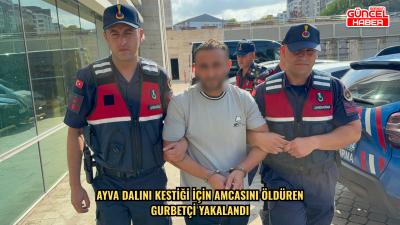 Ayva dalını kestiği için amcasını öldüren gurbetçi yakalandı