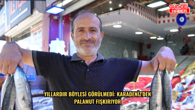 Yıllardır böylesi görülmedi: Karadeniz'den palamut fışkırıyor