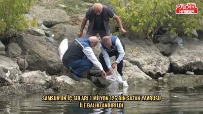  Samsun'un iç suları 1 milyon 125 bin sazan yavrusu ile balıklandırıldı