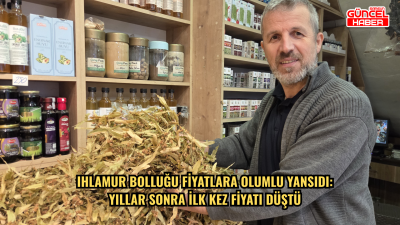 Ihlamur bolluğu fiyatlara olumlu yansıdı: Yıllar sonra ilk kez fiyatı düştü